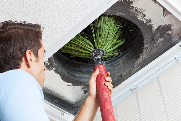 Best Emergency Air Duct Cleaning  in Clarkesville, GA